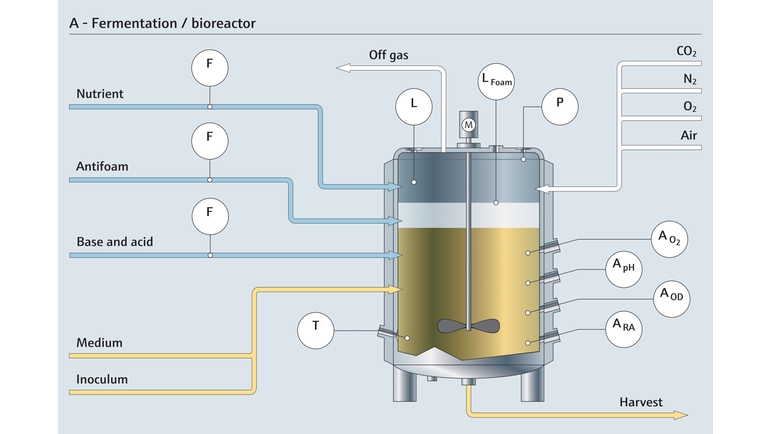Käyminen bioreaktorissa ja siihen liittyvät mittauspisteet
