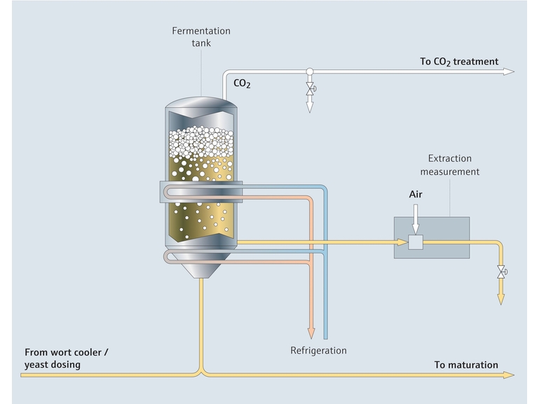 Process overview of fermentation in brewing beer