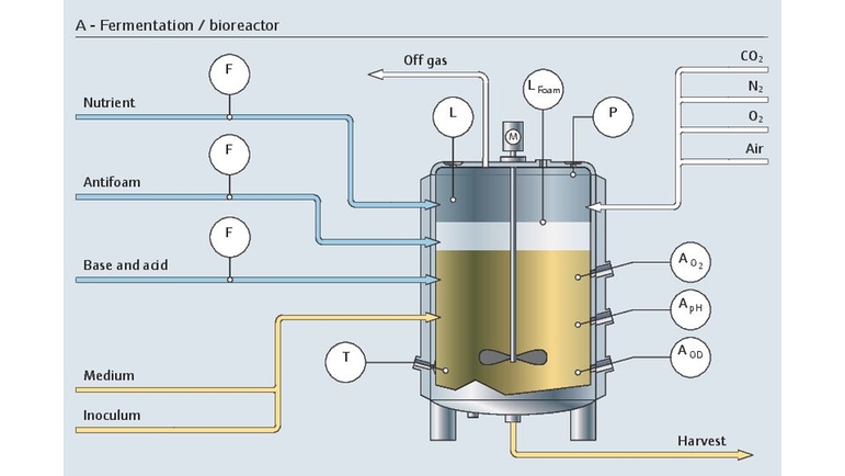 Ylävirran käymisprosessi bioreaktorissa ja kaikki sen oleelliset mittauspisteet