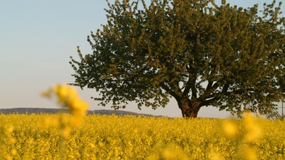 For us, economic growth goes hand-in-hand with ecological and social thinking.